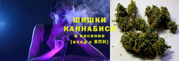 дмт Богданович