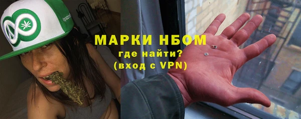 дмт Богданович