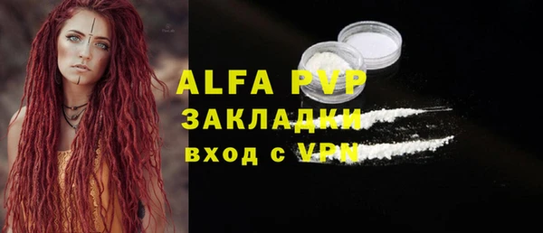 дмт Богданович