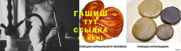 дмт Богданович