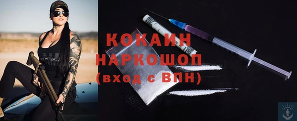 дмт Богданович