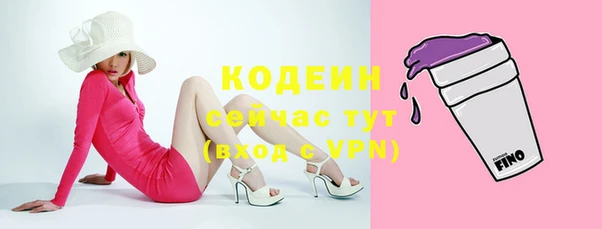 дмт Богданович