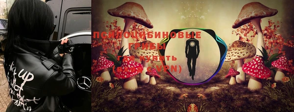 дмт Богданович