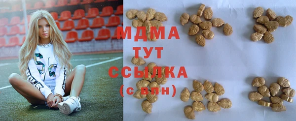 дмт Богданович
